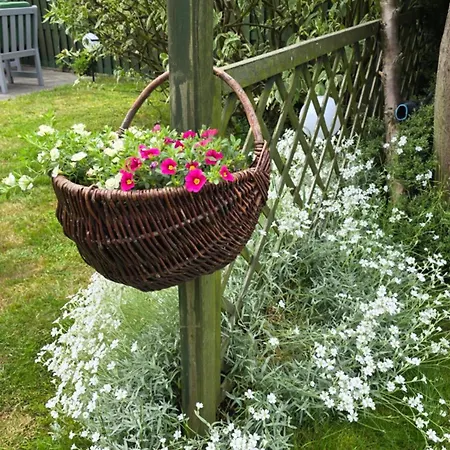 Πανσιόν Sonia 3*