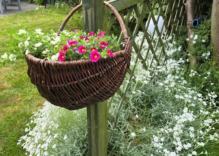 Πανσιόν Sonia 3*