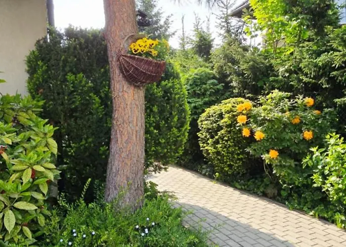 Πανσιόν Sonia 3*