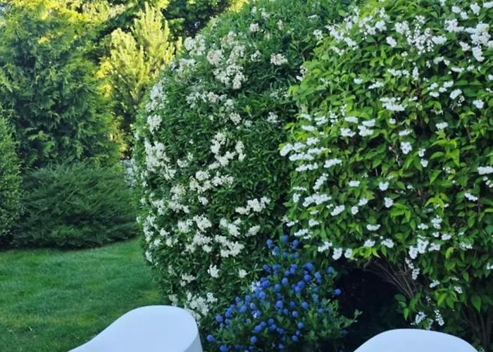 Πανσιόν Sonia